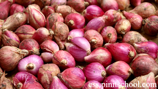 Khasiat Bawang Merah Untuk Kesehatan Tubuh