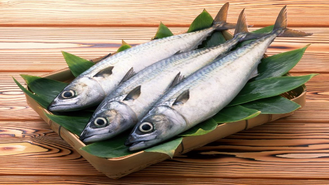 Manfaat Ikan untuk Kesehatan: Nutrisi yang Membuat Tubuh Lebih Sehat