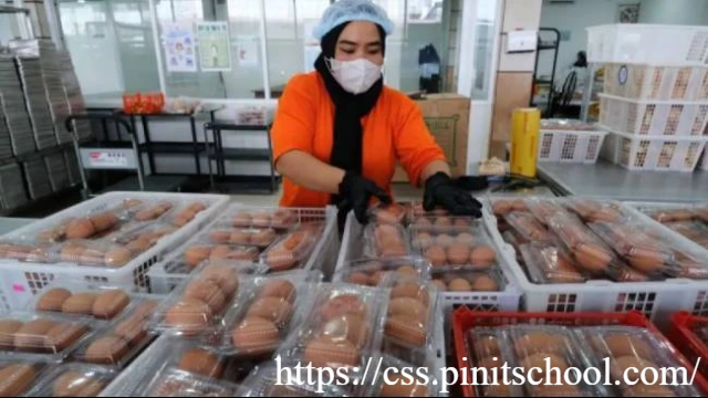BGN Klaim 65 Persen Warga Indonesia Perlu MBG